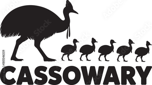 Cassowary bird and chick silhouettes with bold typography vector graphic on transparent background