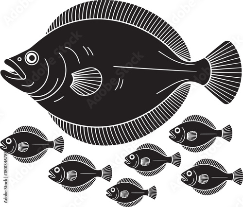 Flatfish flounder vector illustration engraving style drawing black silhouette bottom dwelling species