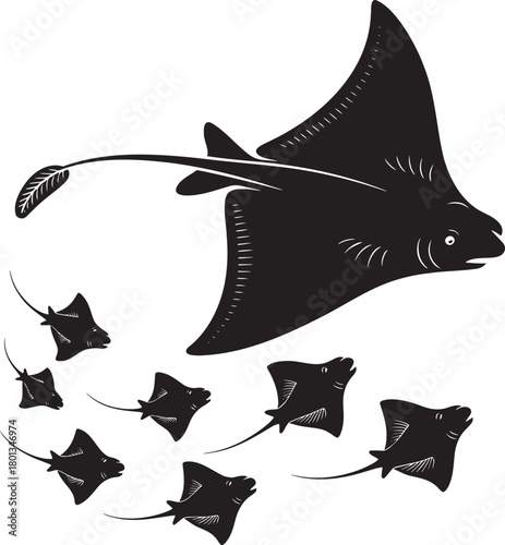 Giant manta ray aquatic animal silhouette vector illustration vintage engraving style species drawing