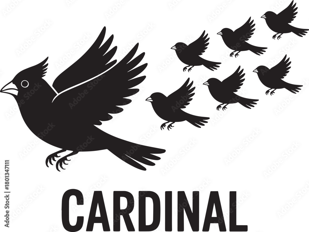 Naklejka premium Northern cardinal bird silhouette set flying and perching over square background graphic vector illustration