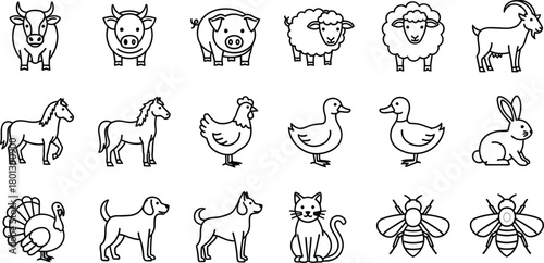 Collection of hand drawn farm animal illustrations in a simple outline style