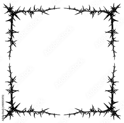 Black frame of a branch with thorns without background