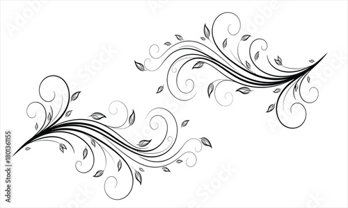 Elegant floral design Swirls, leaves, and decorative elements creating a graceful vector illustration