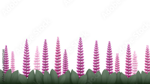 Purple lupine flower field with green leaves digital illustration seamless border design spring floral pattern nature inspired decorative vibrant for background or banner use