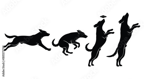 Dog agility training silhouette vector running jumping catching