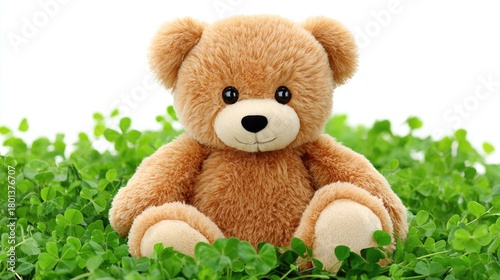 Adorable teddy bear in lush clover field on white background for playful decor or children's theme