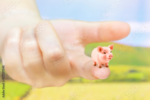 Hand holding a very small toy pig. Background on the topic of food prices and problems of breeding animals on a farm.