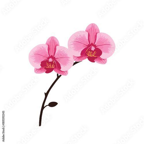 Minimalist ink wash painting with pink phalaenopsis orchid. Traditional oriental ink painting sumi-e, u-sin, go-hua. Translation of hieroglyph - eternity.

