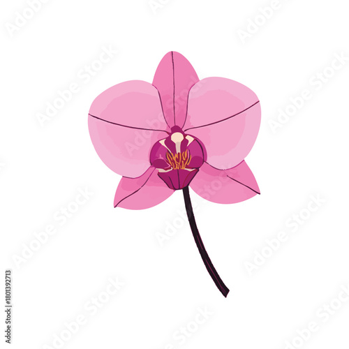 Minimalist ink wash painting with pink phalaenopsis orchid. Traditional oriental ink painting sumi-e, u-sin, go-hua. Translation of hieroglyph - eternity.
