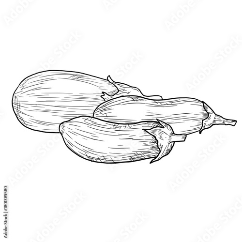 Whole eggplant, sketch. Vector illustration. Vegetables from the garden are isolated on a white background. For a street festival, farmer's market, country fair and shop, menu, cafe, restaurant.