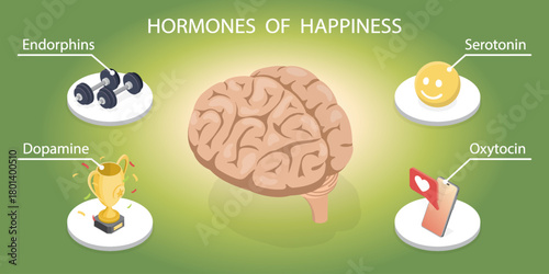 Happy brain chemicals: endorphins, serotonin, dopamine, oxytocin.  Labeled isometric educational flat banner.