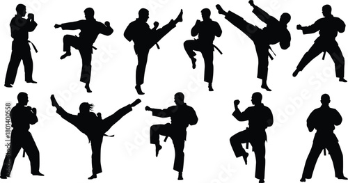 Martial arts fighters performing high kicks, karate silhouettes in action poses, black belt training and self defense practice, combat sport athletes exercising, 