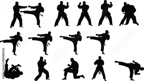 Martial arts fighters sparring and grappling, karate silhouettes in attack and defense poses, self defense training with kicks and punches, combat sport a