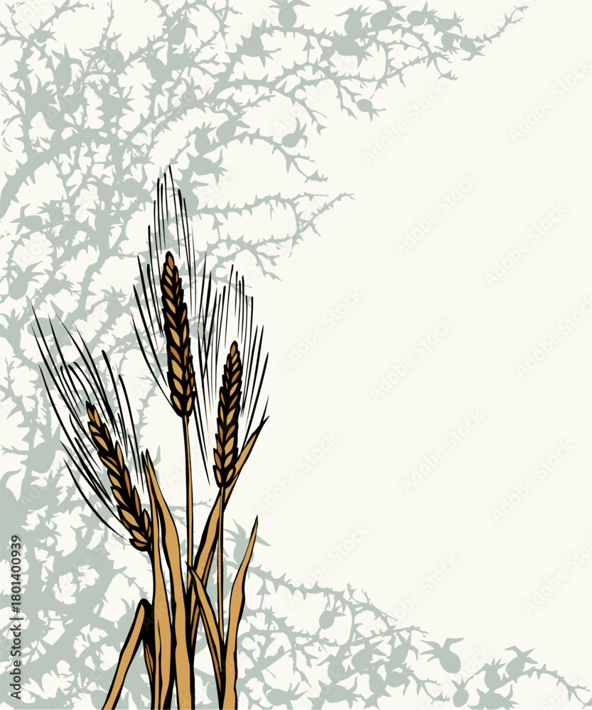 Obraz premium A Bible parable. The grain fell into the thorns. Vector drawing