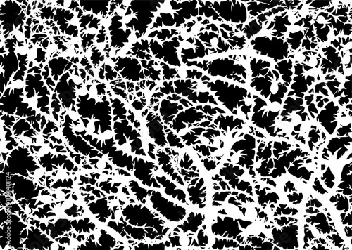 Branches of Blackthorn. Vector drawing