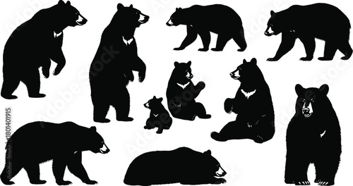 Wild bear silhouettes family collection, adult bears walking standing sitting and lying down, mother bear with cub illustration, forest wildlife animal poses set, 