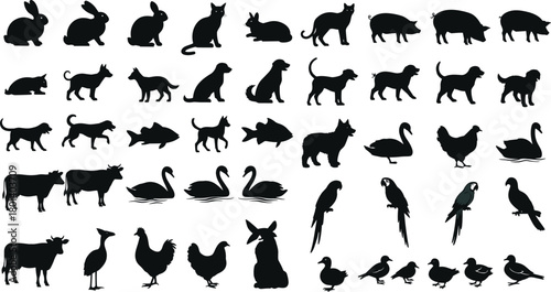 Farm and pet animal silhouettes collection, cats dogs rabbits pigs cows chickens swans fish and birds, domestic animals in different poses, livestock and 