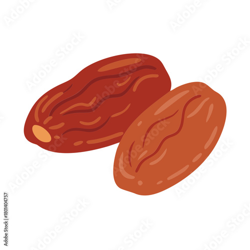 a flat icon of a vector clip art date fruit for web and graphic design