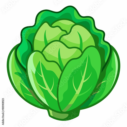 Lettuce Vegetable Cartoon Icon – Fresh Green Food Vector Illustration