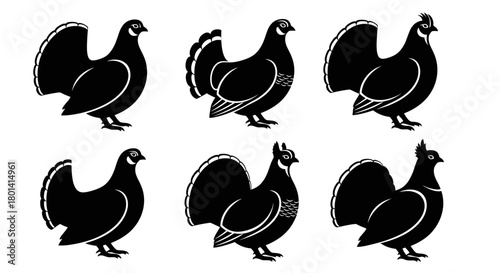 Six stylized black grouse illustrations in a row, showing different tail and head feather variations.