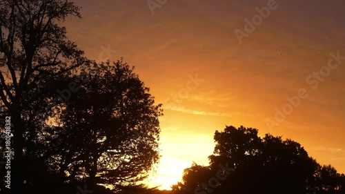Time-lapse sunrise at the edge of a forest
