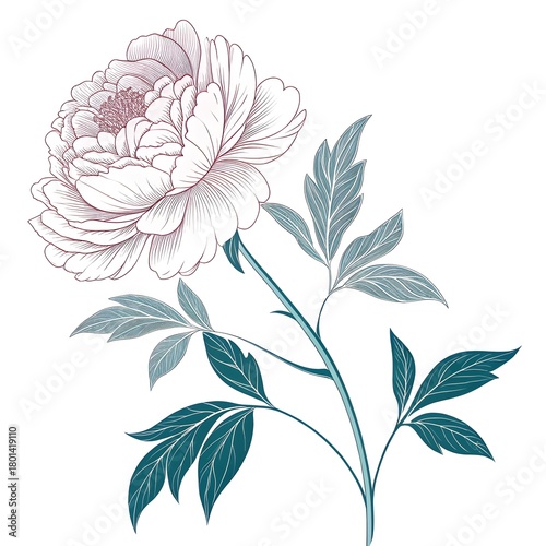 Focus on Subject & Style)
Crimson Peony and Bud
A Bold Study in Traditional Line Art
Option Focus on Mood & Symbolism)
The Emblem of Prosperity
Elegant Beauty in Scarlet Hue