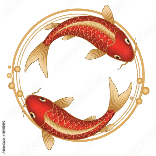 Two Red Koi Fish Swimming in a Golden Circle