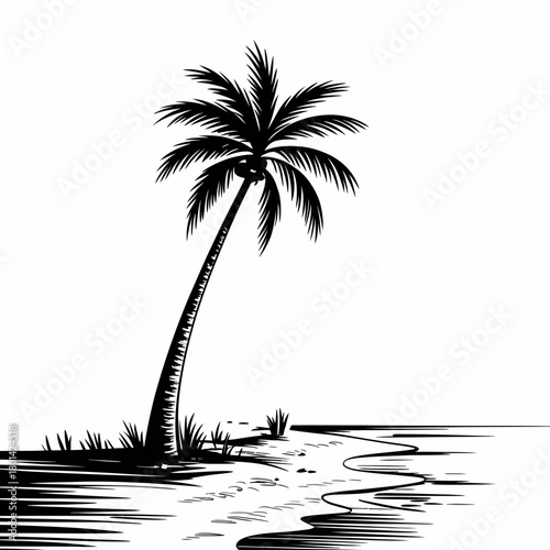 Black and white sketch of a lone palm tree on a tropical beach with ocean waves