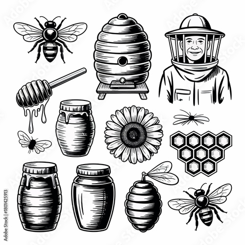 Vintage bee keeping collection hand drawn illustrations