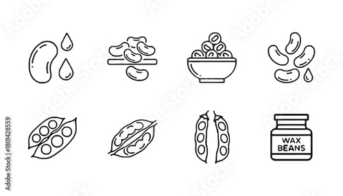 Beans vector set outline style bean pods wax beans illustration