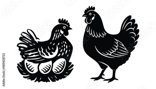 Black and white chicken vector illustration farm animal design
