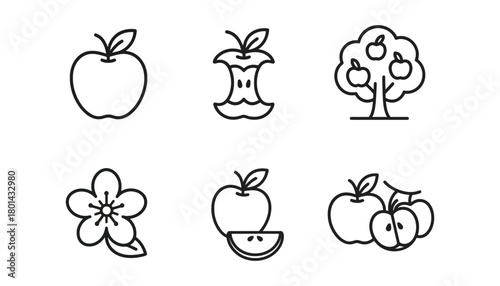 Apple fruit vector icon set outline style design illustration