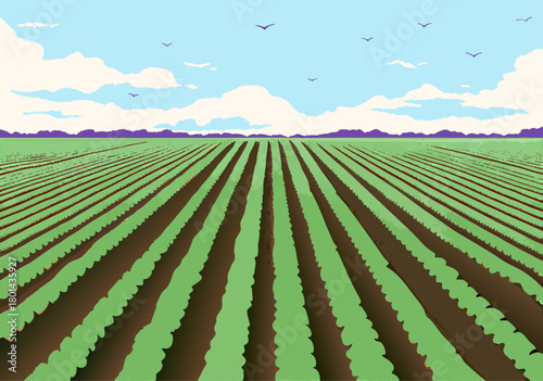 Birds Soaring Over Lush Green Farm Fields Under Sunny Skies