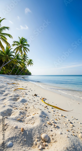 Tranquil tropical landscape. Relaxing paradise island beach sunlight blue sea sky palm leaves. White sand closeup on perfect summer vacation outdoors. Tropical Beach Vacation / Paradise Island