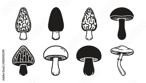 Mushroom vector set edible and poisonous mushrooms illustration