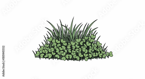 Grass and clover patch with transparent background