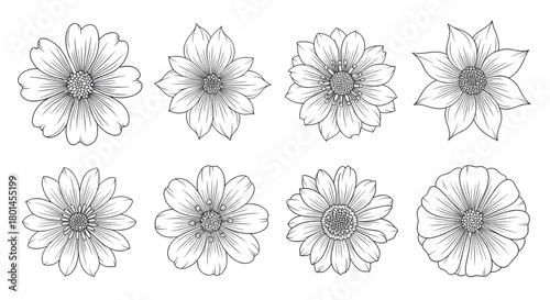 A collection of eight detailed flower illustrations, showcasing various petal arrangements and center designs in a monochrome style.