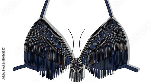 Belly dance bra with fringe and beads with transparent background