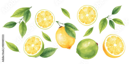 Set of lemons and limes in watercolor style. Various sizes including whole fruits and halves with leaves, soft yellow and green tones, isolated on white background. Vector.
