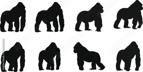 Papier peint Collection of eight black gorilla silhouettes in various poses against a white b