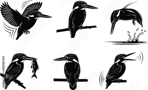 Elegant kingfisher bird silhouette illustration set showcasing flying, perching, hunting, and catching fish actions in dynamic black vector style, perfect for wildlife design