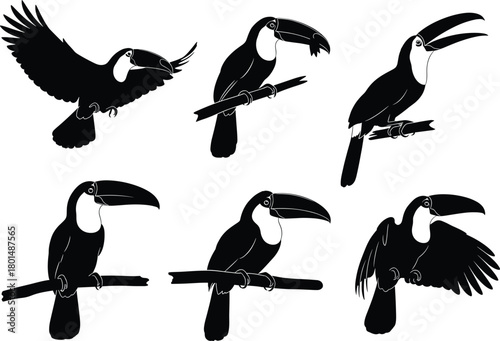 Elegant toucan silhouette vector illustrations showing various perched and flying poses, perfect for tropical wildlife artwork, branding, decorative designs, creative nature-themed graphic projects
