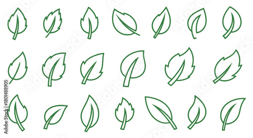 Collection of green leaf outlines in various shapes and orientations.