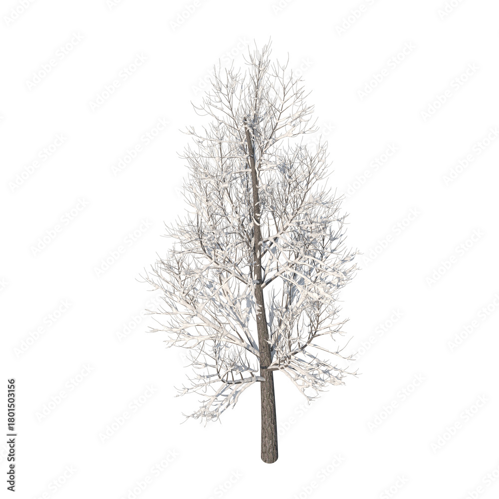 Fototapeta premium Tree snow covered isolated transparent background 3d rendering PNG 16 bit 