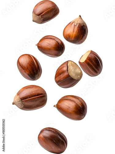 Wallpaper Mural Floating hazelnuts isolated on transparent background. Natural organic nuts perfect for healthy food, snack, or ingredient design projects. Torontodigital.ca