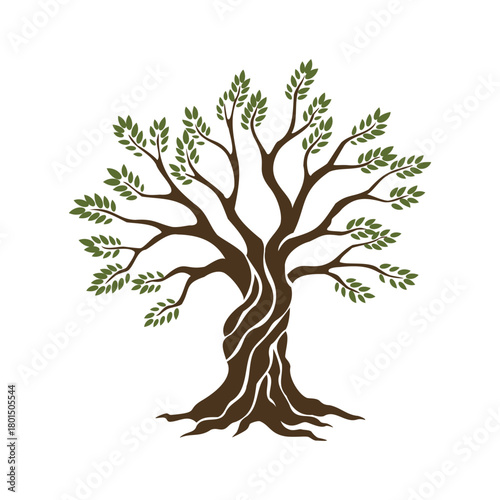 Olive trees with branches and leaves for design of packaging, label, logotype or banner. Natural organic stylized olive icon, premium quality sign. Vector illustration