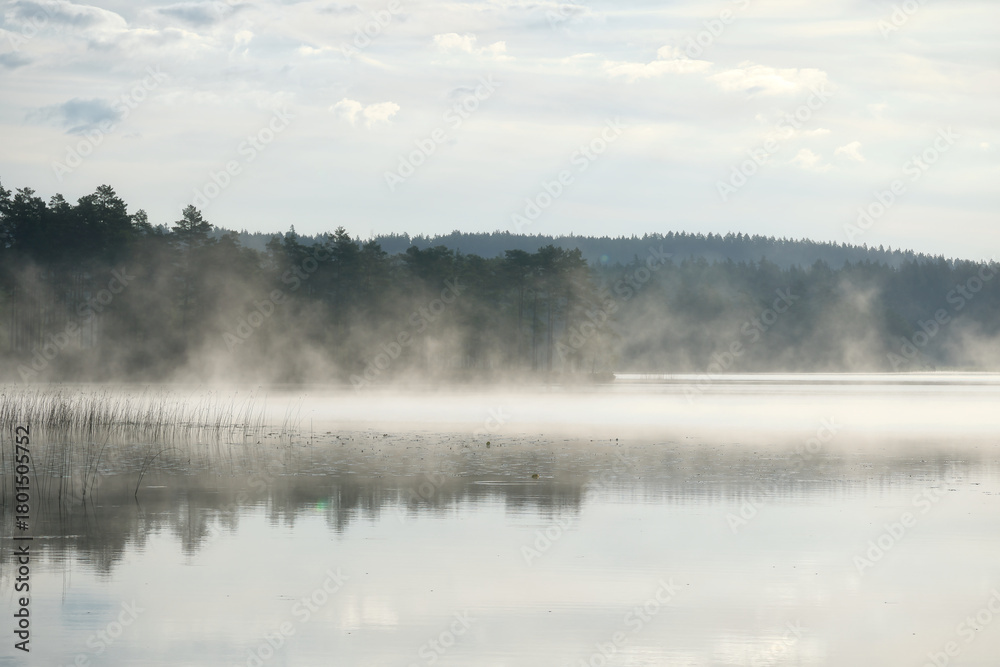Fototapeta premium Mystical morning mist over a mirror smooth lake in Sweden and forest silhouette.