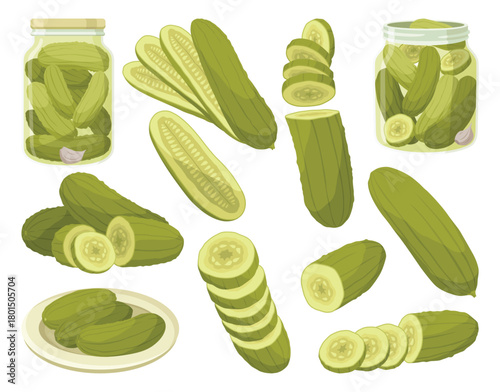 Homemade pickled cucumbers. Clip-arts of marinated food for packaging, label, menu, signboard or showcase. Fermented veggies, crunch gherkin with salt. Healthy vegetarian foods