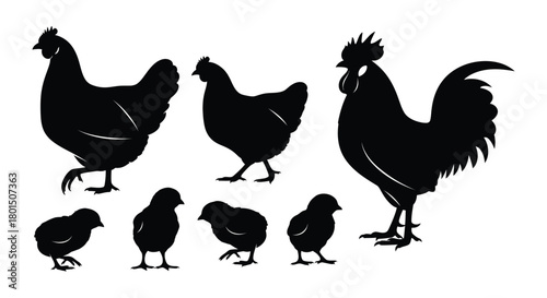 Chicken family silhouette vector illustration farm animals poultry