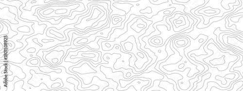 Abstract white background with subtle gray topographic lines.